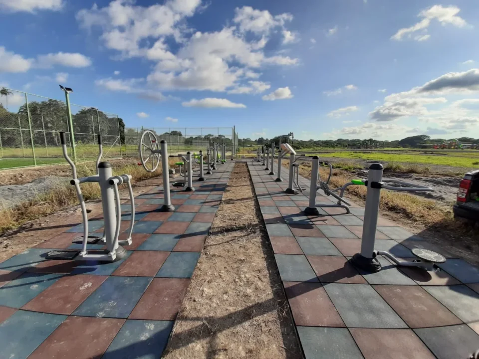 Pameda-Energolatina-4